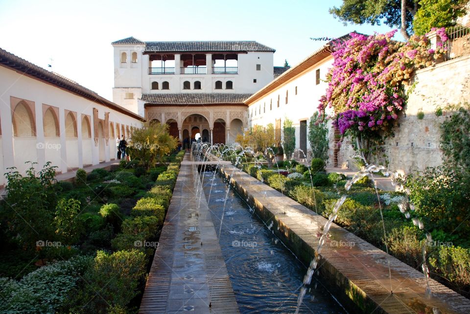 Alhambra palace garden. 