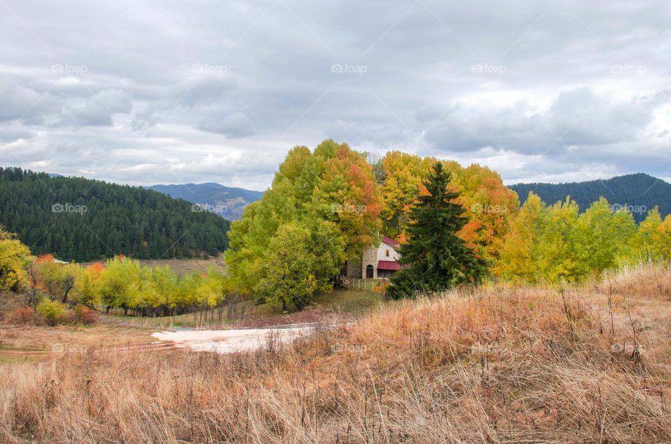 Autumn Landscape, Rhodopes Mountain, Bulgaria