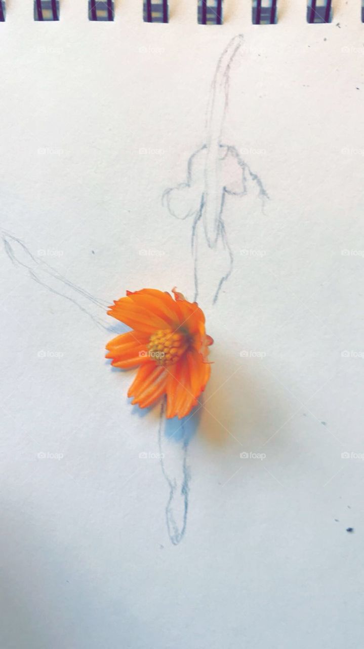 Simple ballerina hand sketched and flower from my garden.