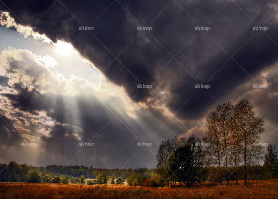 Summer landscape at cloudy day