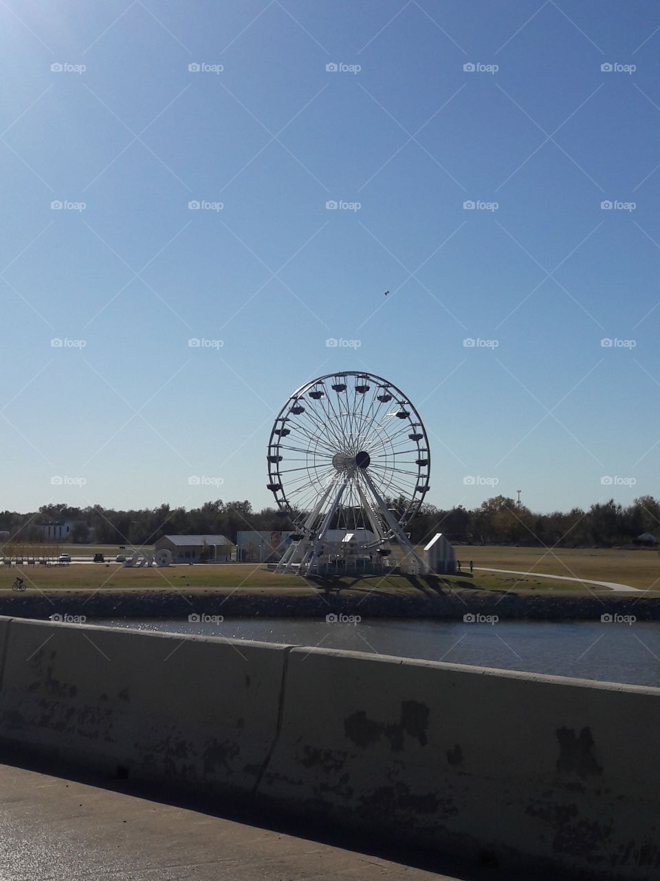 Wheeler's Ferris Wheel