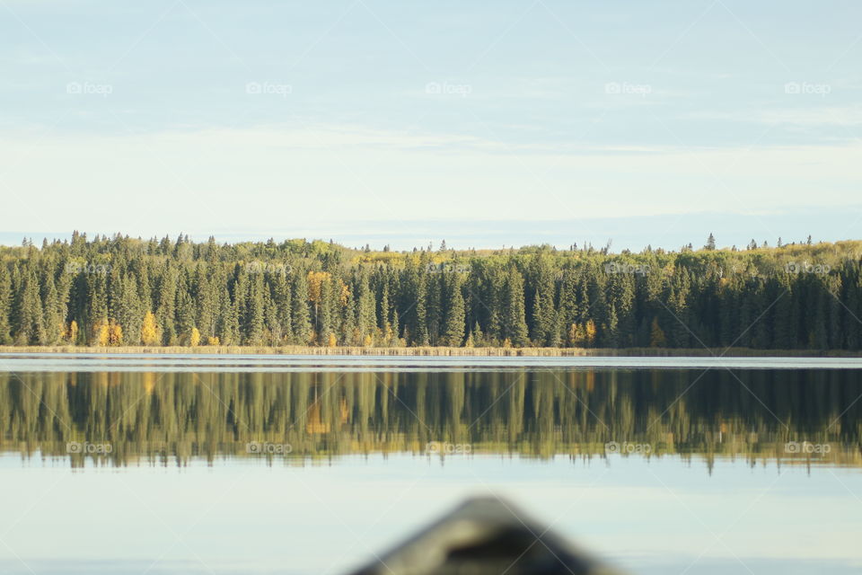 Lake reflection 