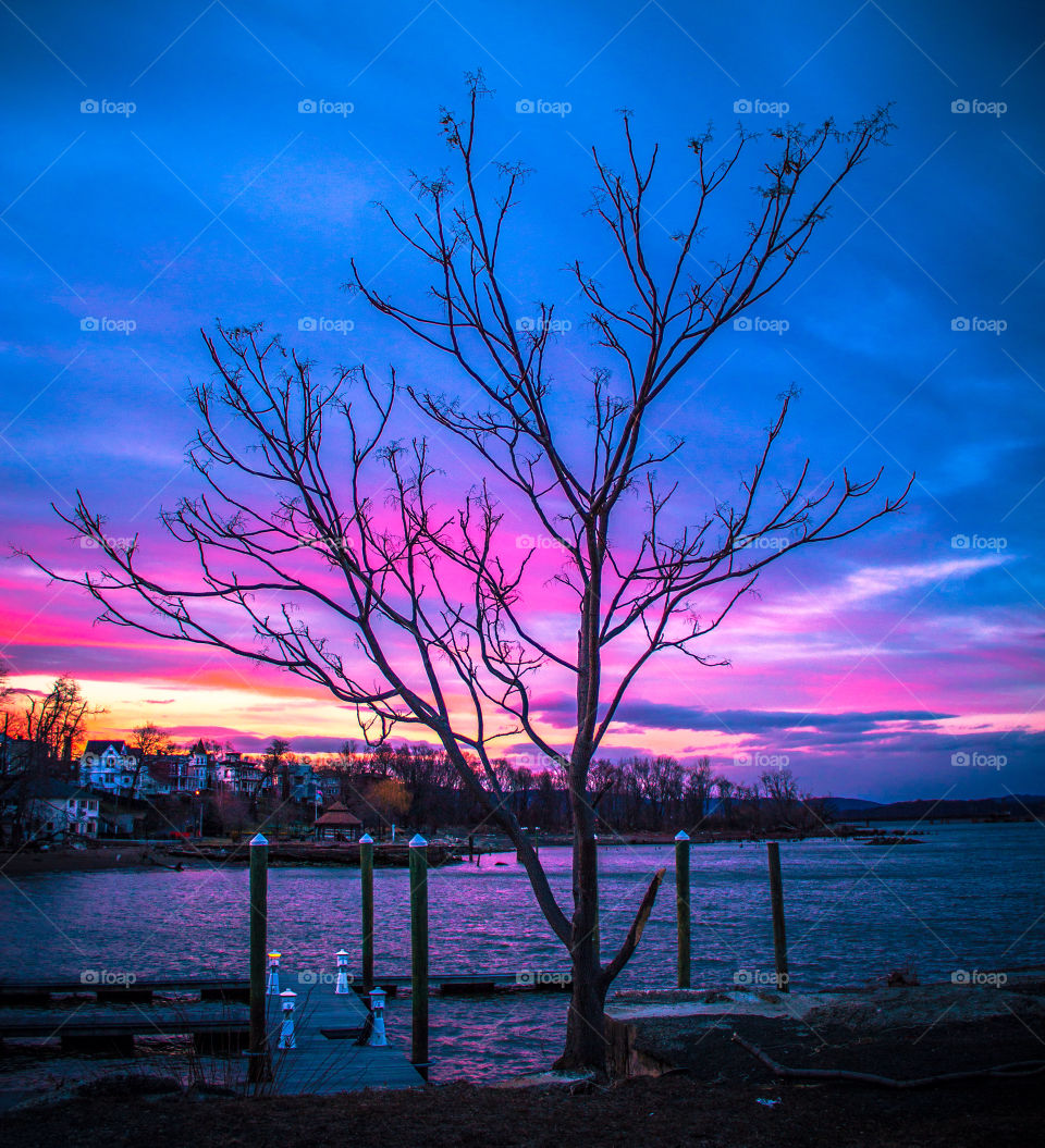 tree sunset silhouette hudson river by delvec