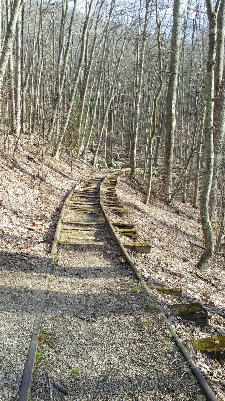 Old railroad tracks
Blue Ridge Parkway