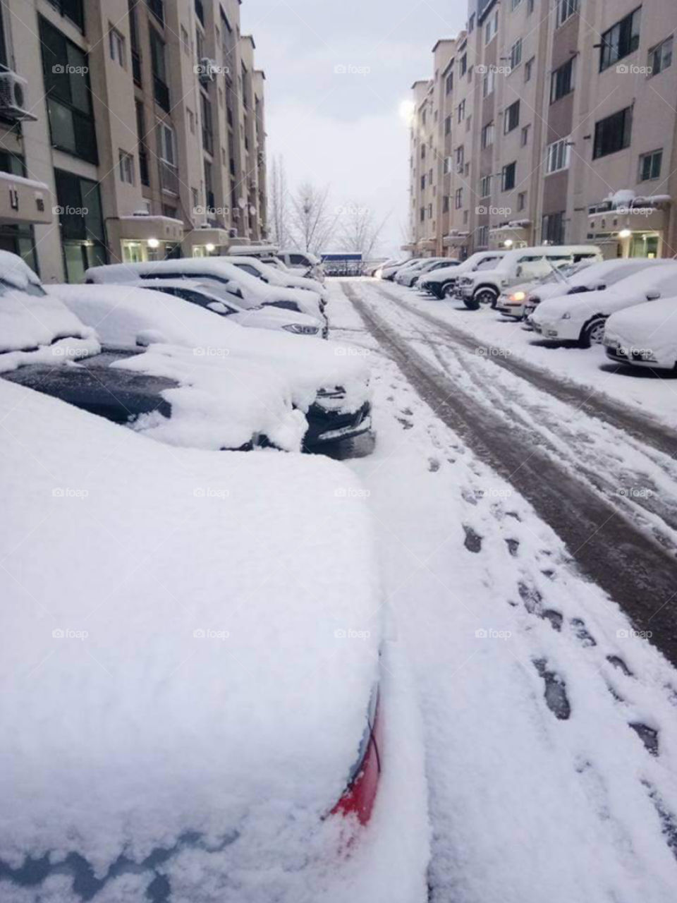 Heavy Snow fall in South Korea