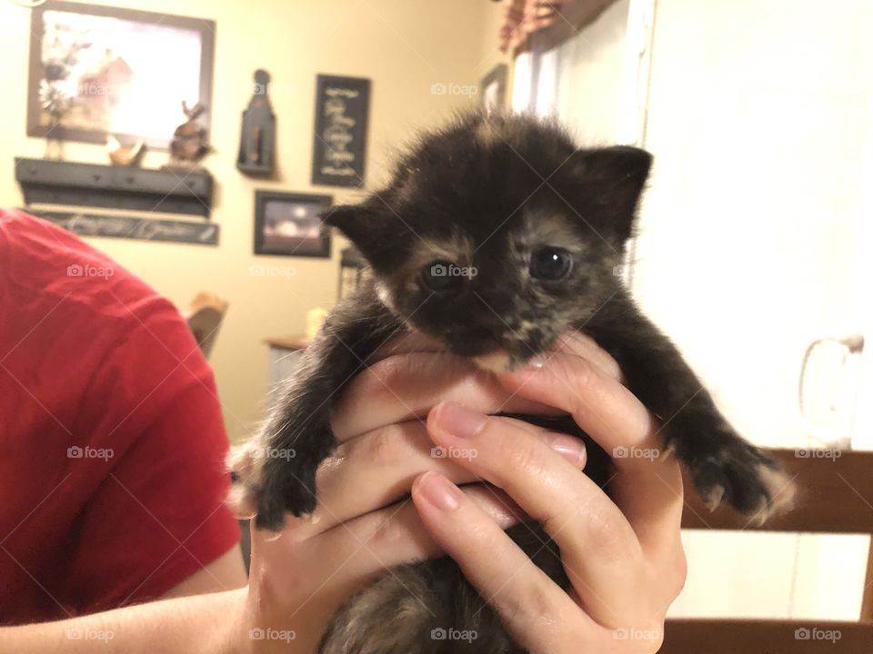 Rescue baby, Eleanor 