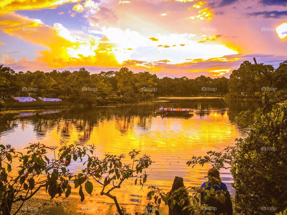 Enjoying spring by the lake