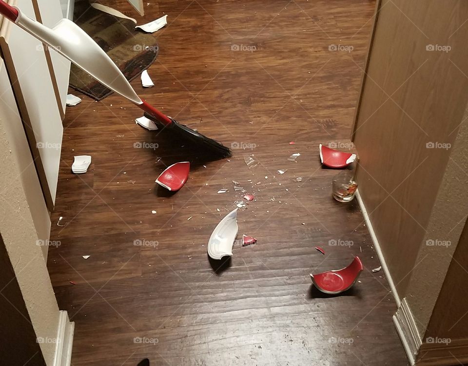 When your cat decided to knock off the the bowls and glass from the counter at 3:00 A.M.