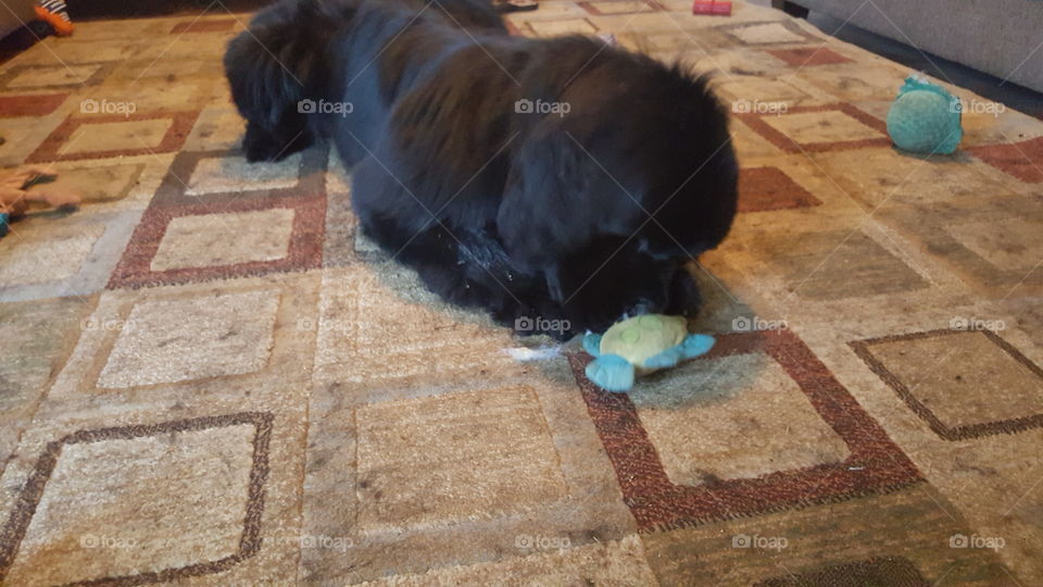 No Person, Floor, Desktop, One, Texture