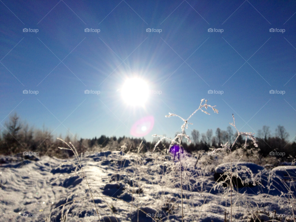 snow winter sol sun by paula