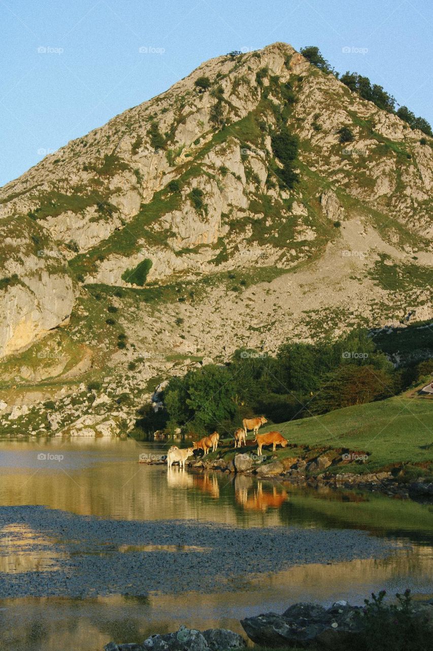 sunrise in Asturias