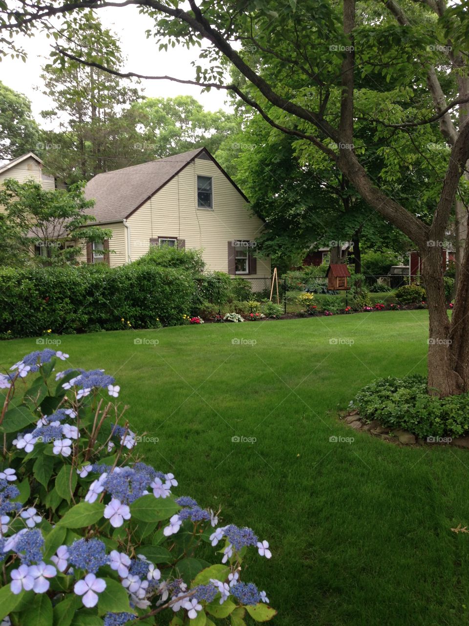 Garden in Sayville, Long Island NY