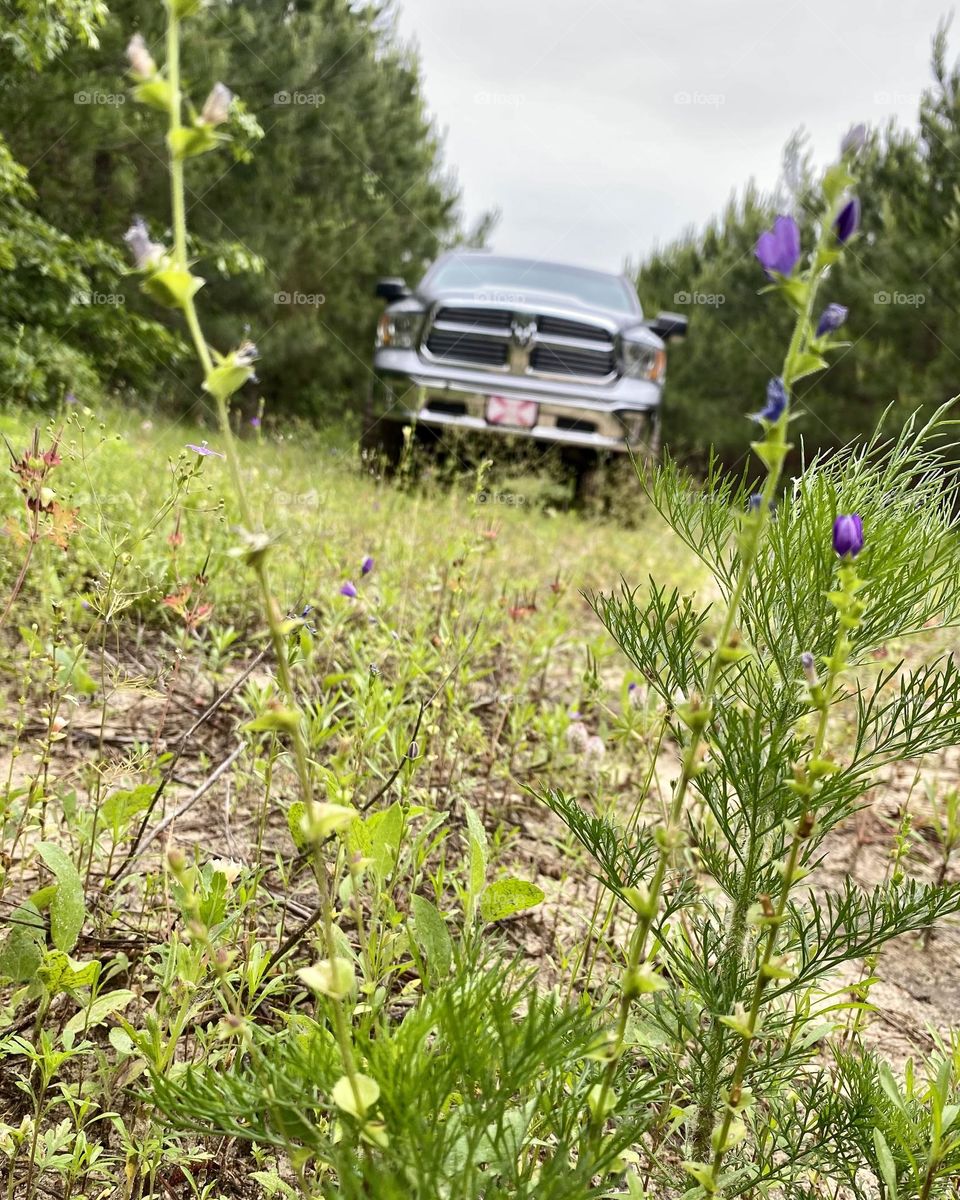Trucks and dirt roads
