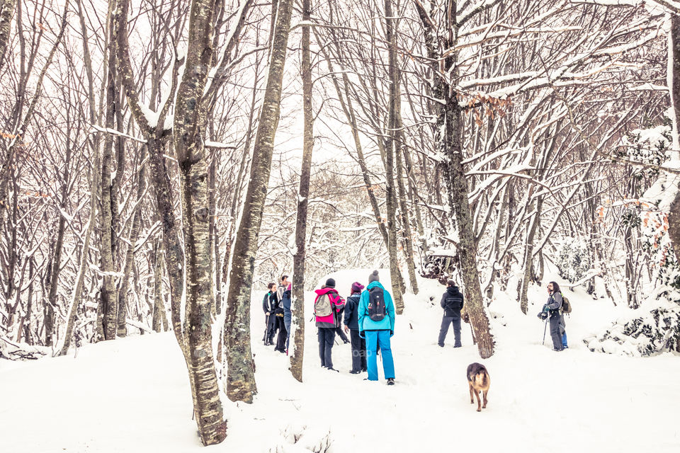 Group Of People On Snowy Mountain In Winter
