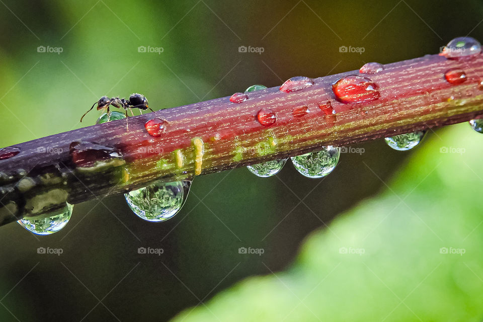Journey after hard rain