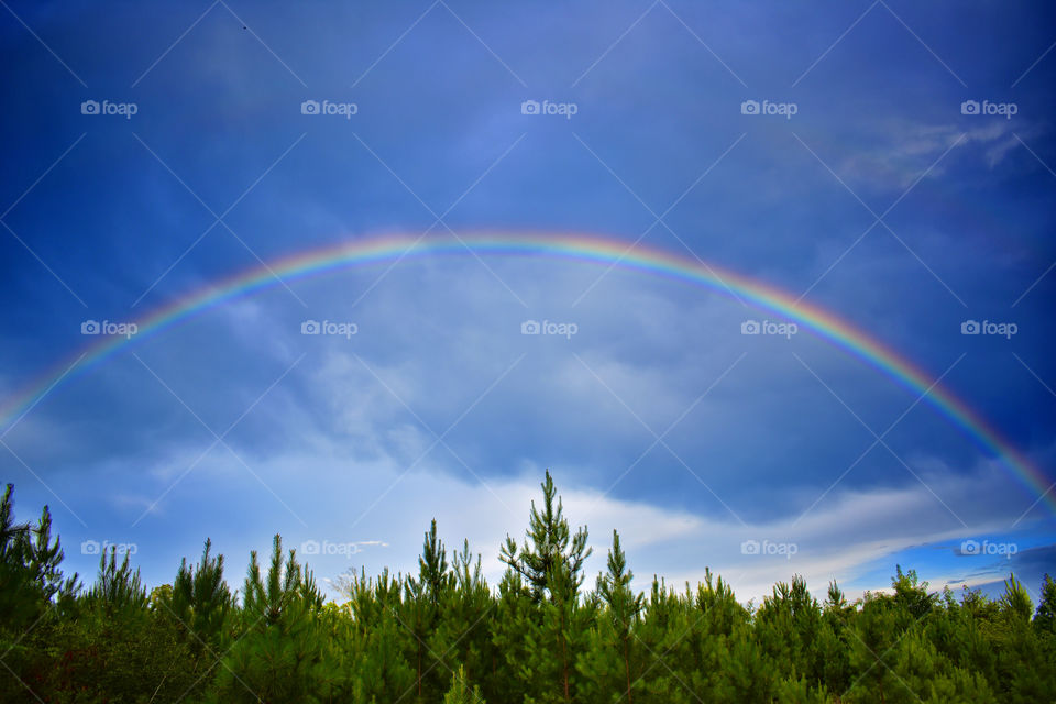 Edited rainbow at Kisatchie Falls 