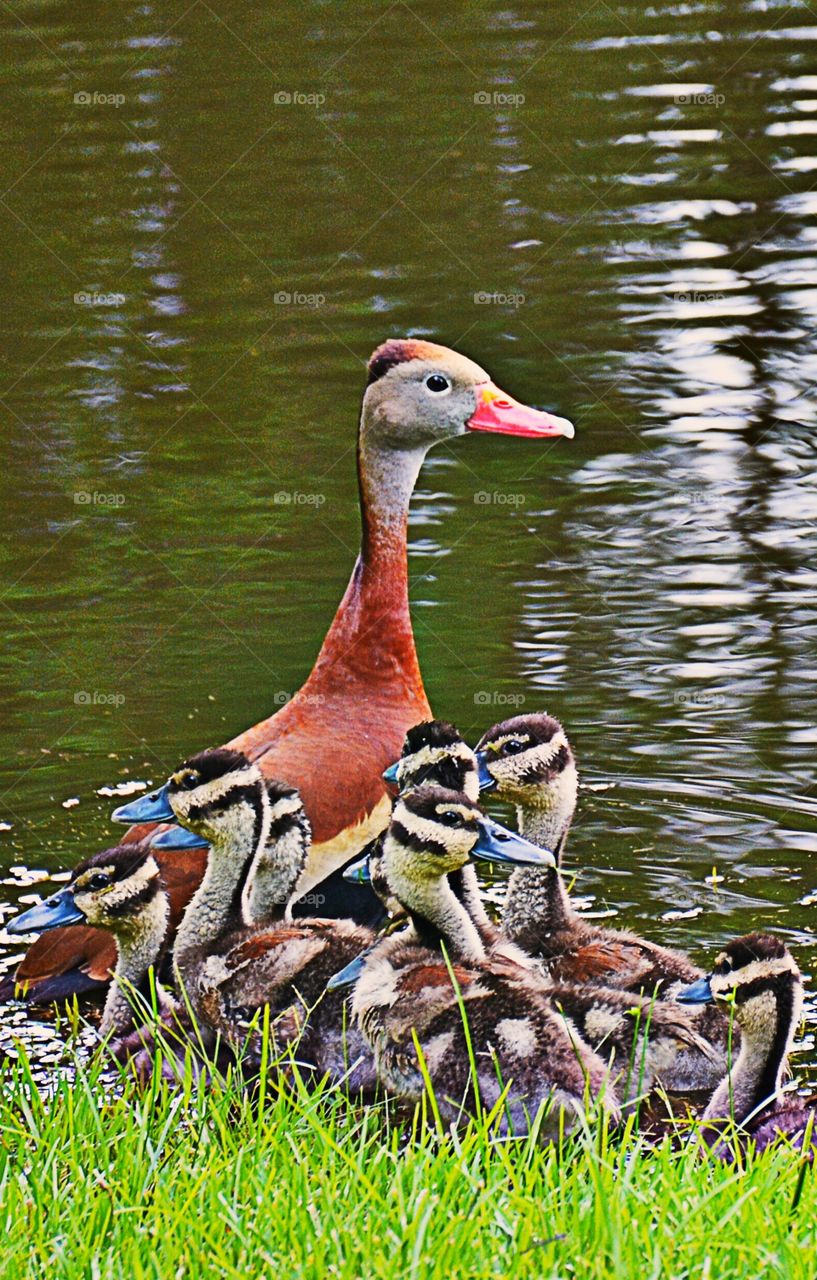 Beautiful family!