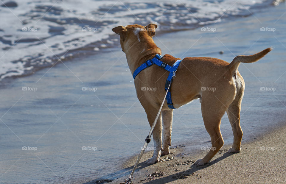 Paseo por la playa