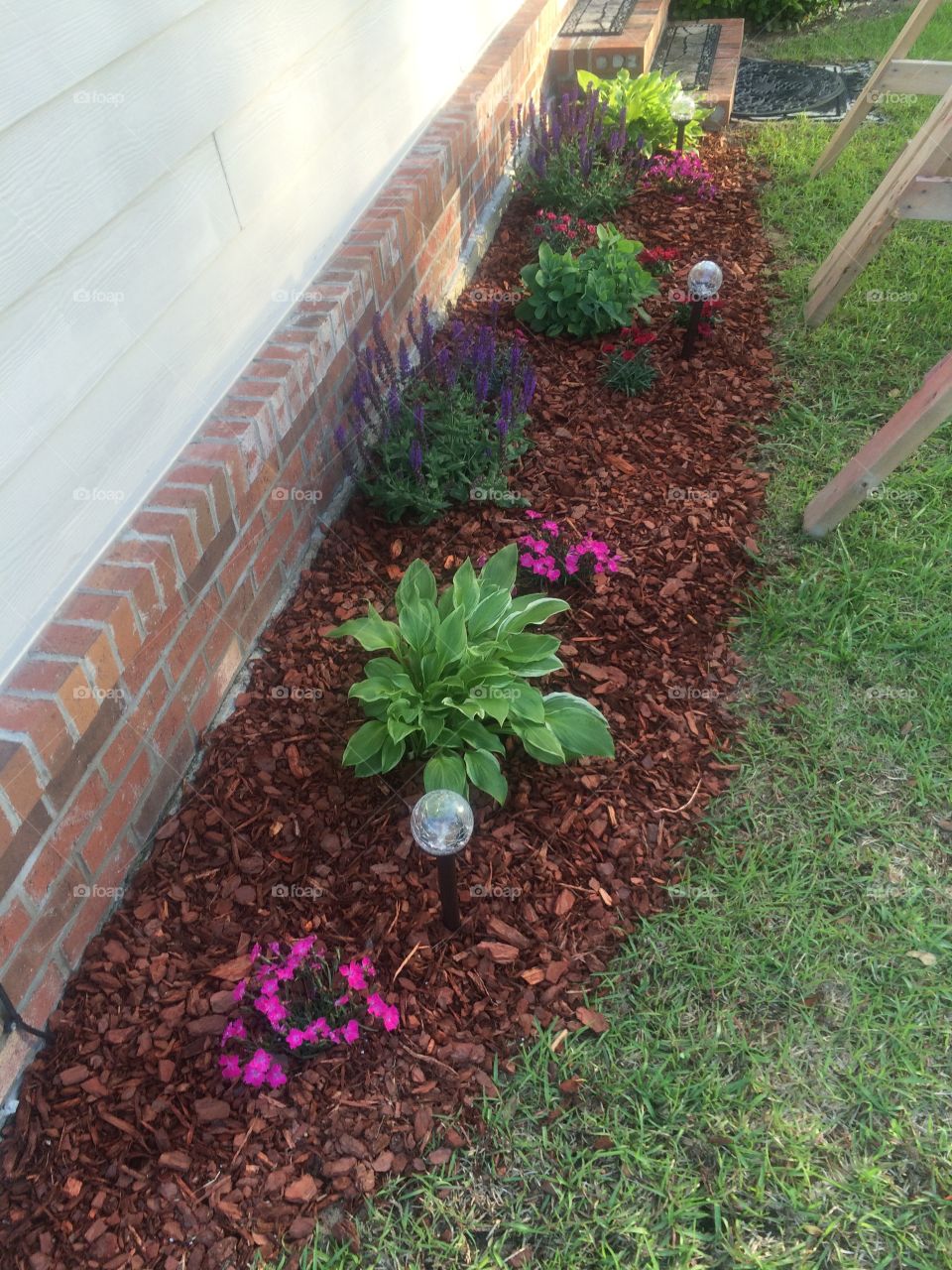 Garden, Flora, Flower, Leaf, Yard