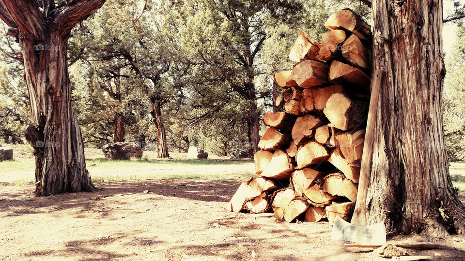 Firewood Stack For Camping