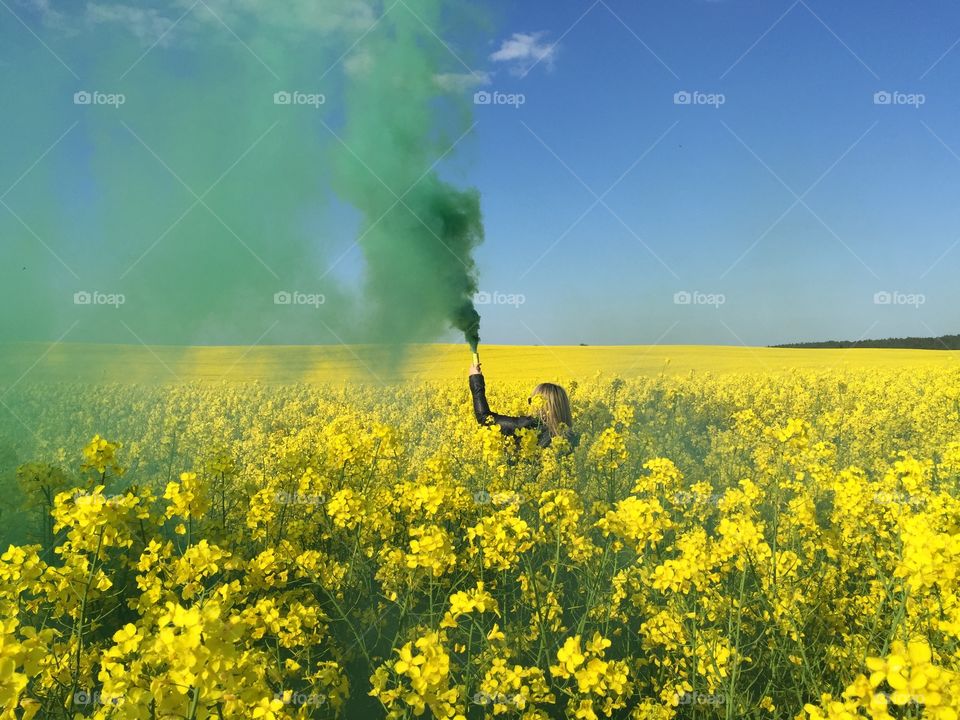 Agriculture, Field, Landscape, No Person, Rural