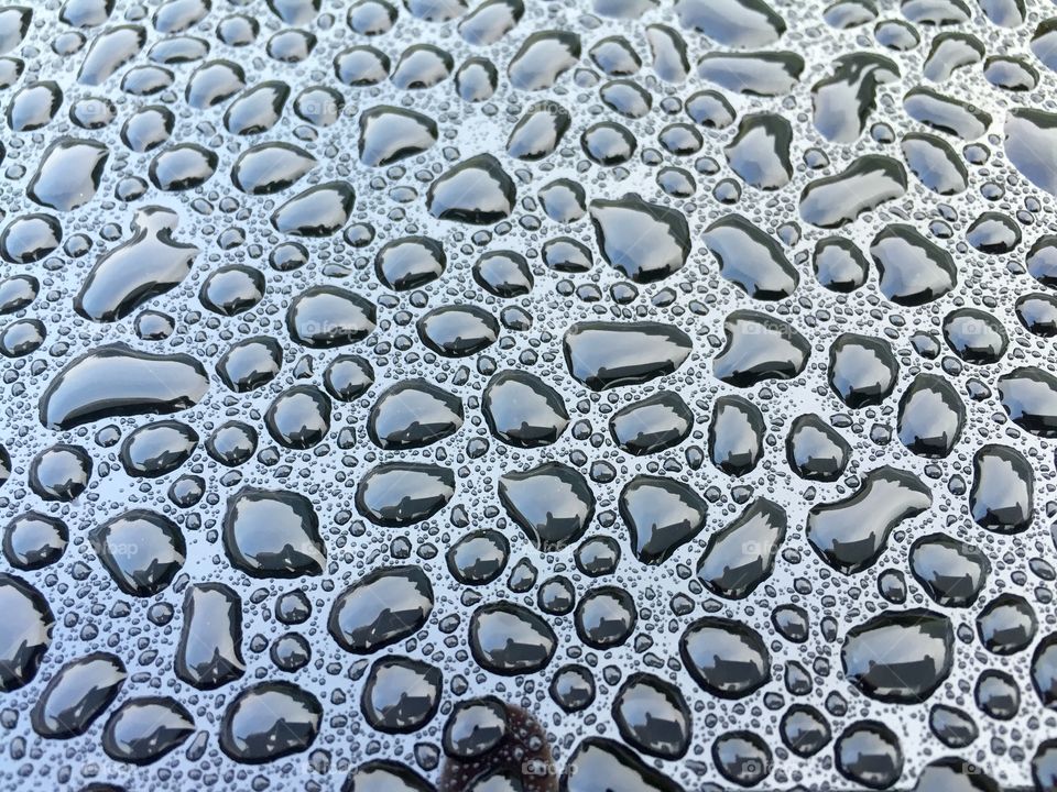 Water droplets on car body