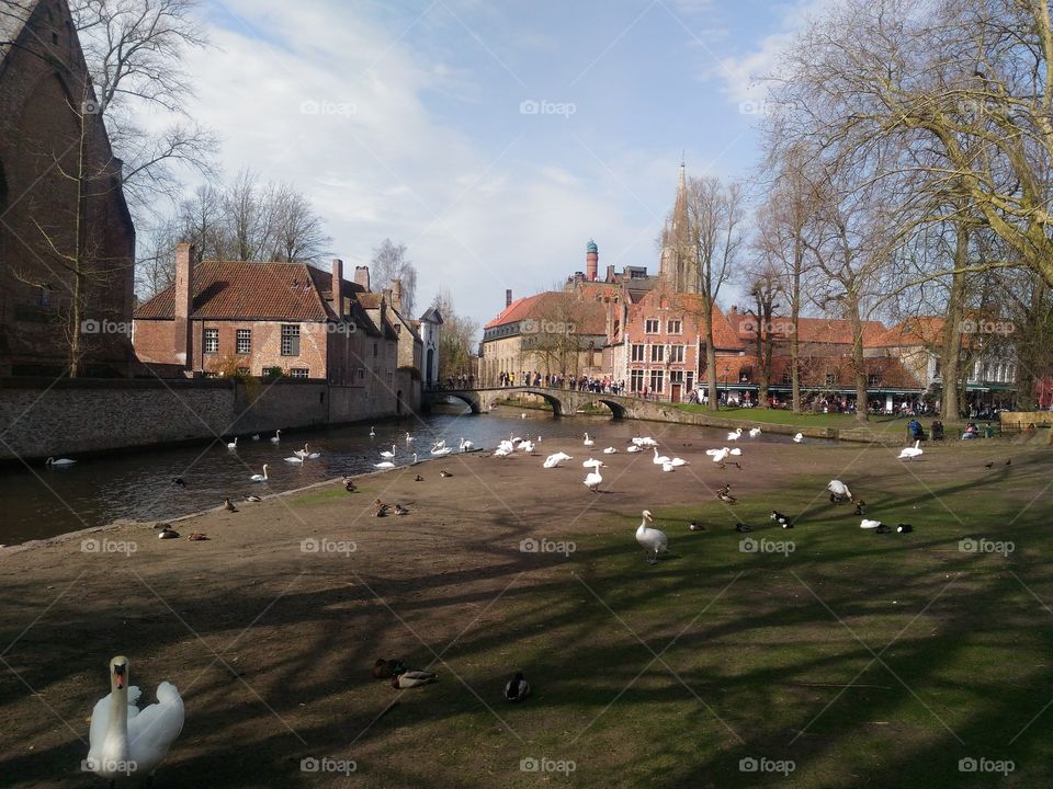 a tourist spot in Brugge belgium
