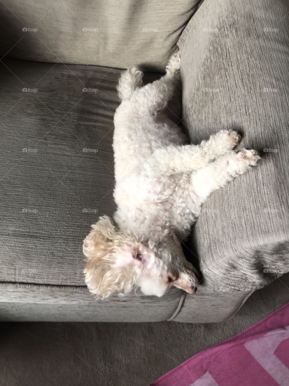 Let sleeping dogs lie