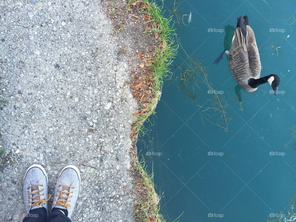 Standing near the lake in Chicago 