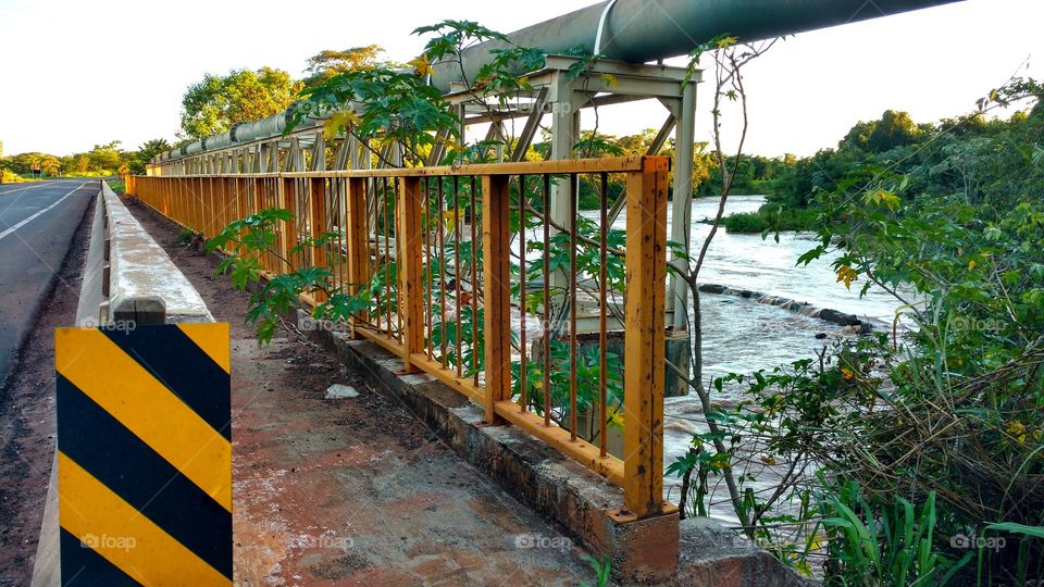 Ponte, rio, água suja e encanamento, saneamento.