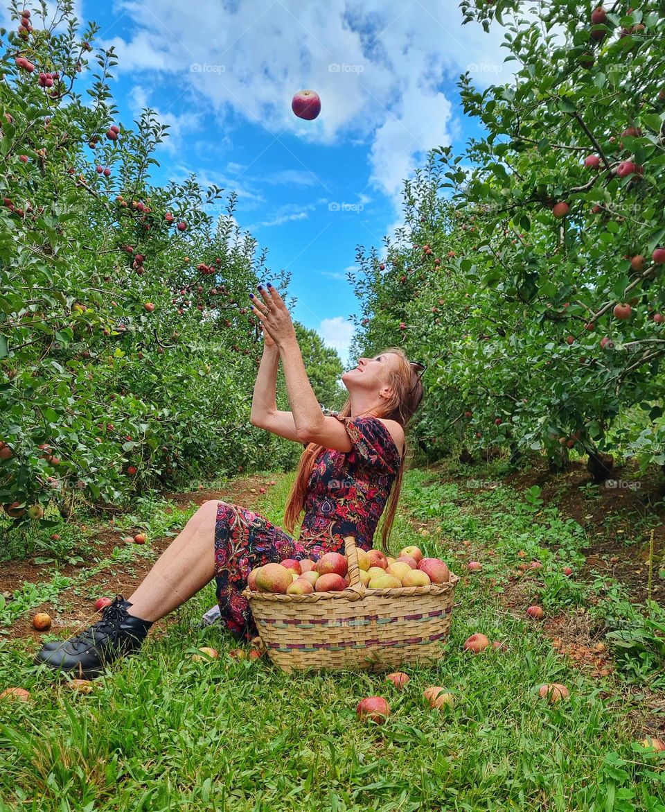 Enjoing the apples