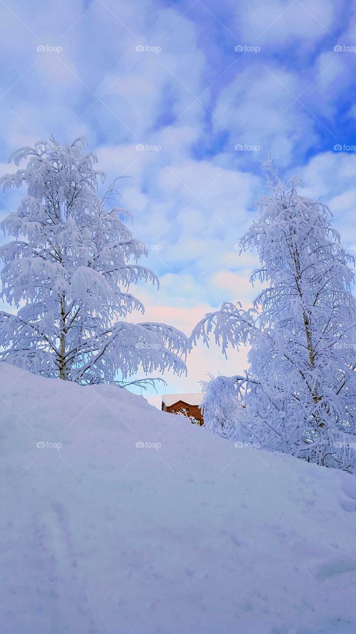 Beautiful day in winterland