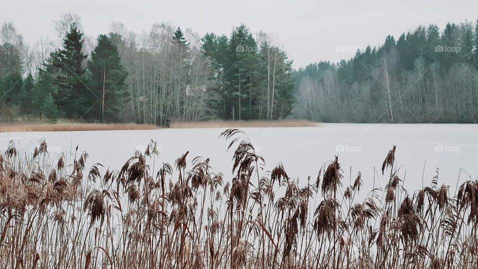 Ice on the lake