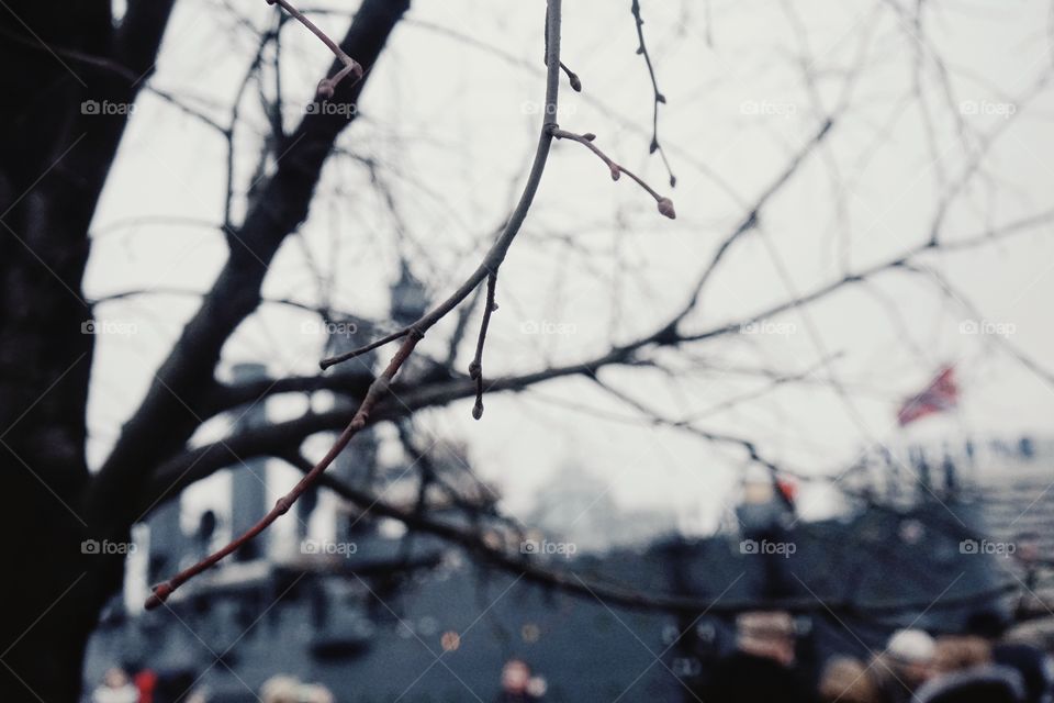 Tree branch ship city day sky cold