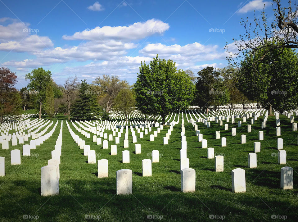 Photo of tombstones on a level field in Arlington National Cemetery. The white tombstones are juxtaposed with the green grass, trees and blue skies. 