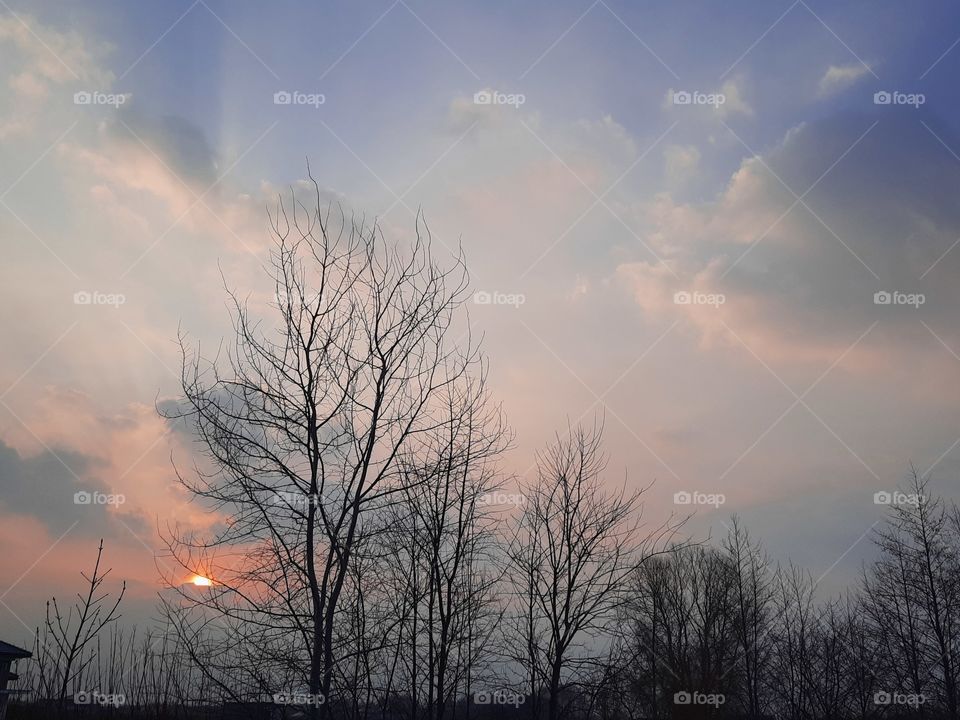 colourful  sky at sunrise  with sunshine  and black silhouette of the trees