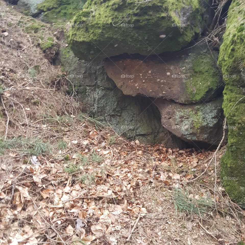 Felsen im Wald 14