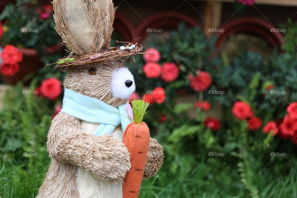 Bunny in garden