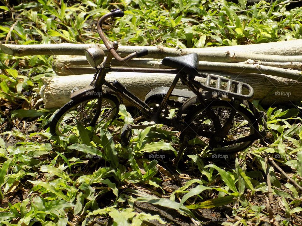 Toy bicycle on the grass