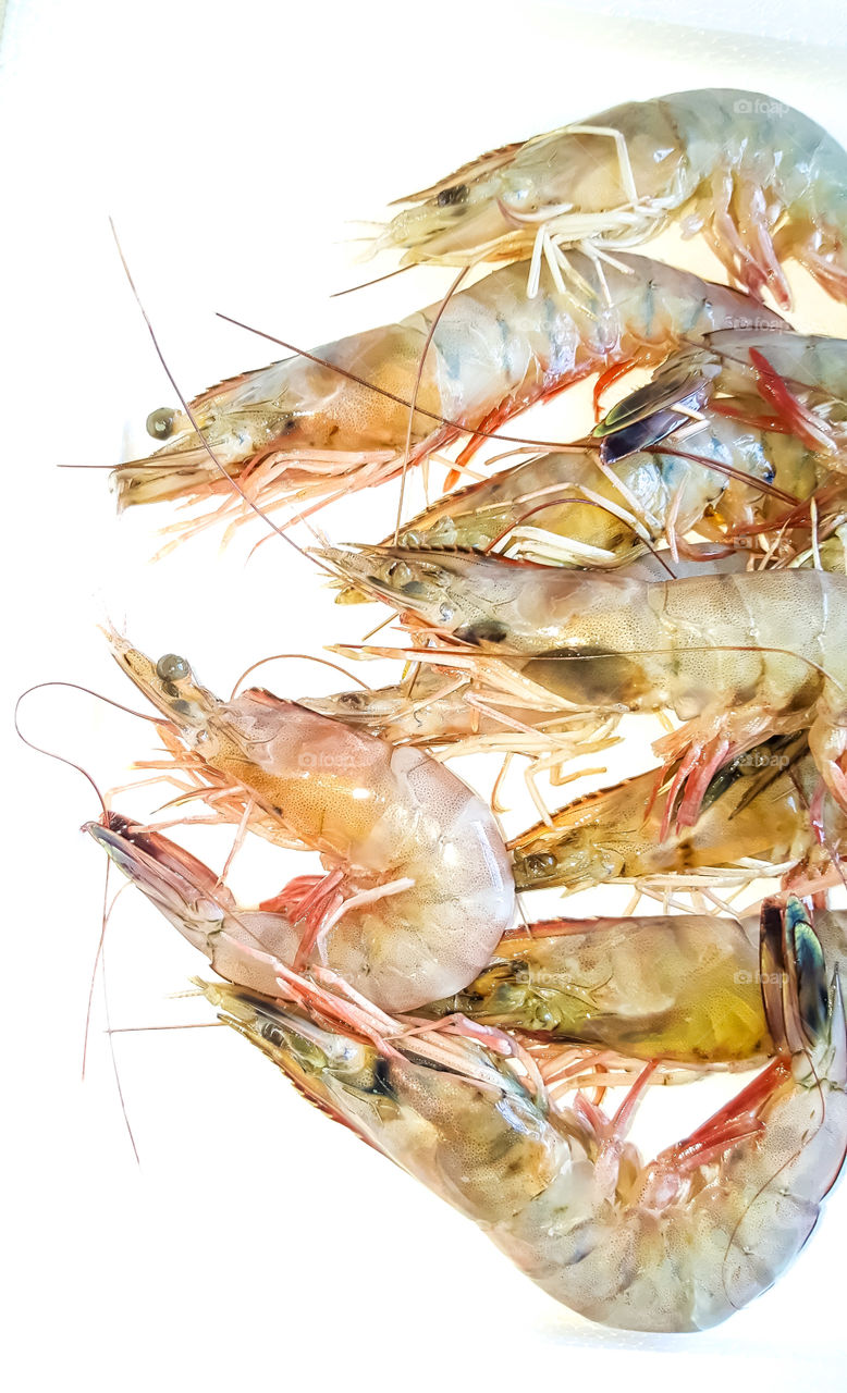 fresh raw gulf coast shrimp