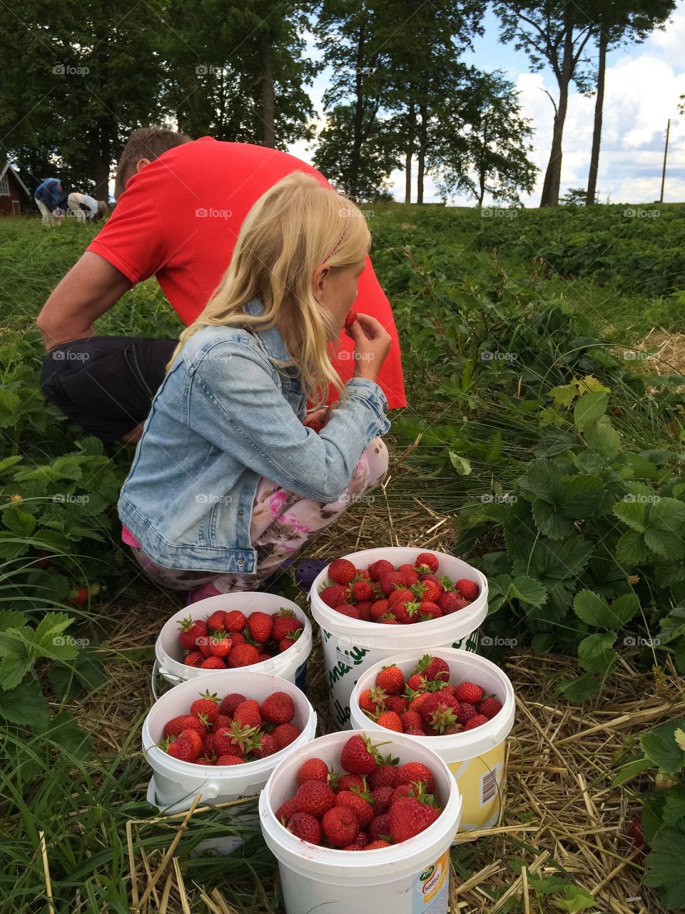 Strawberries