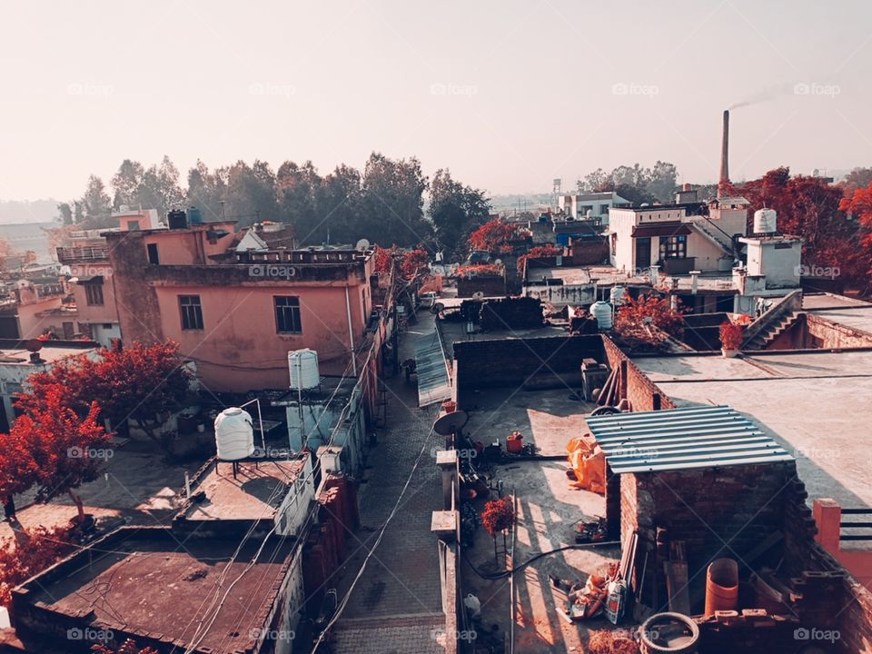 editors' choice: photo of the week