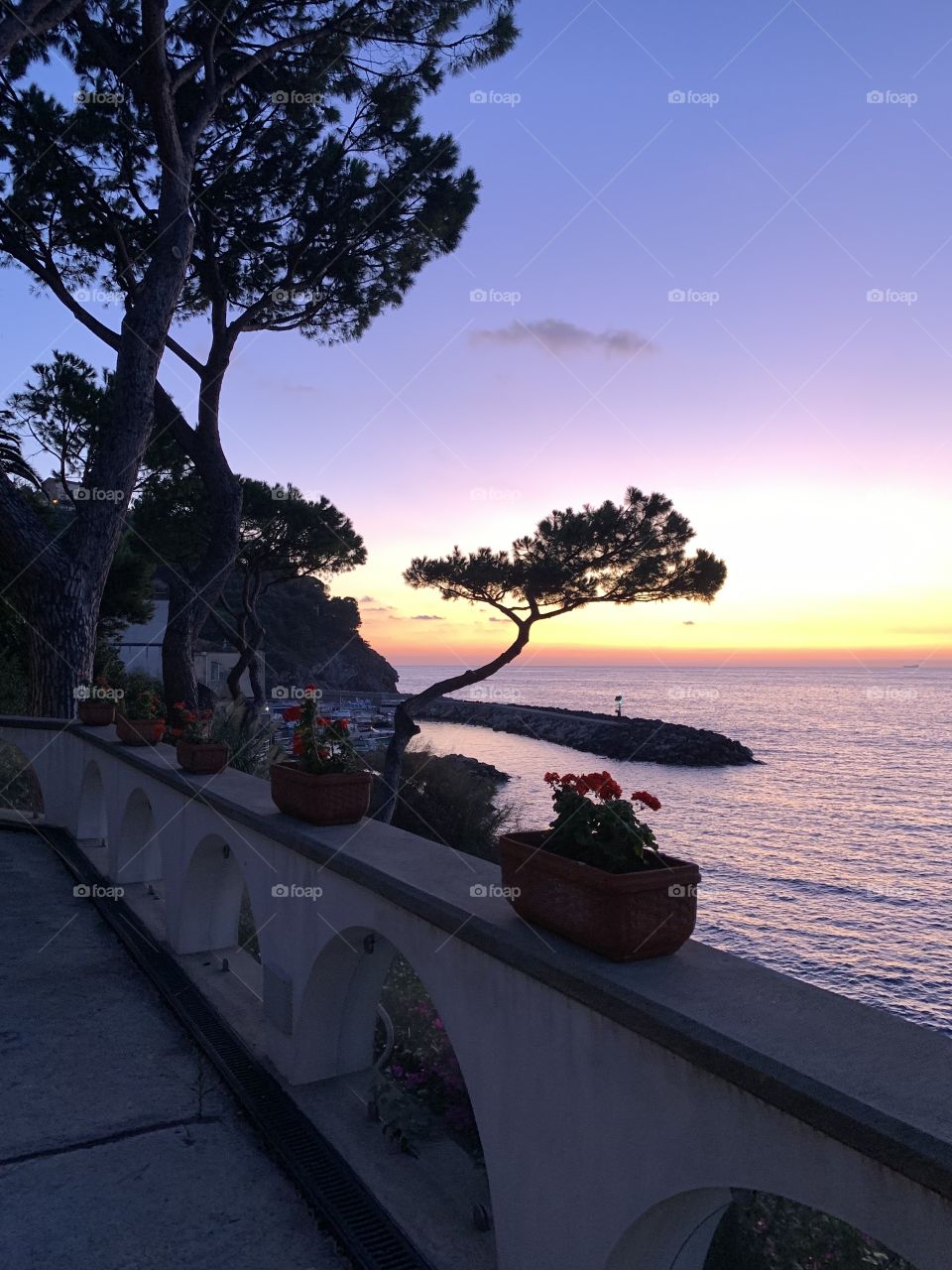 On the coast of Italy, by Sorrento