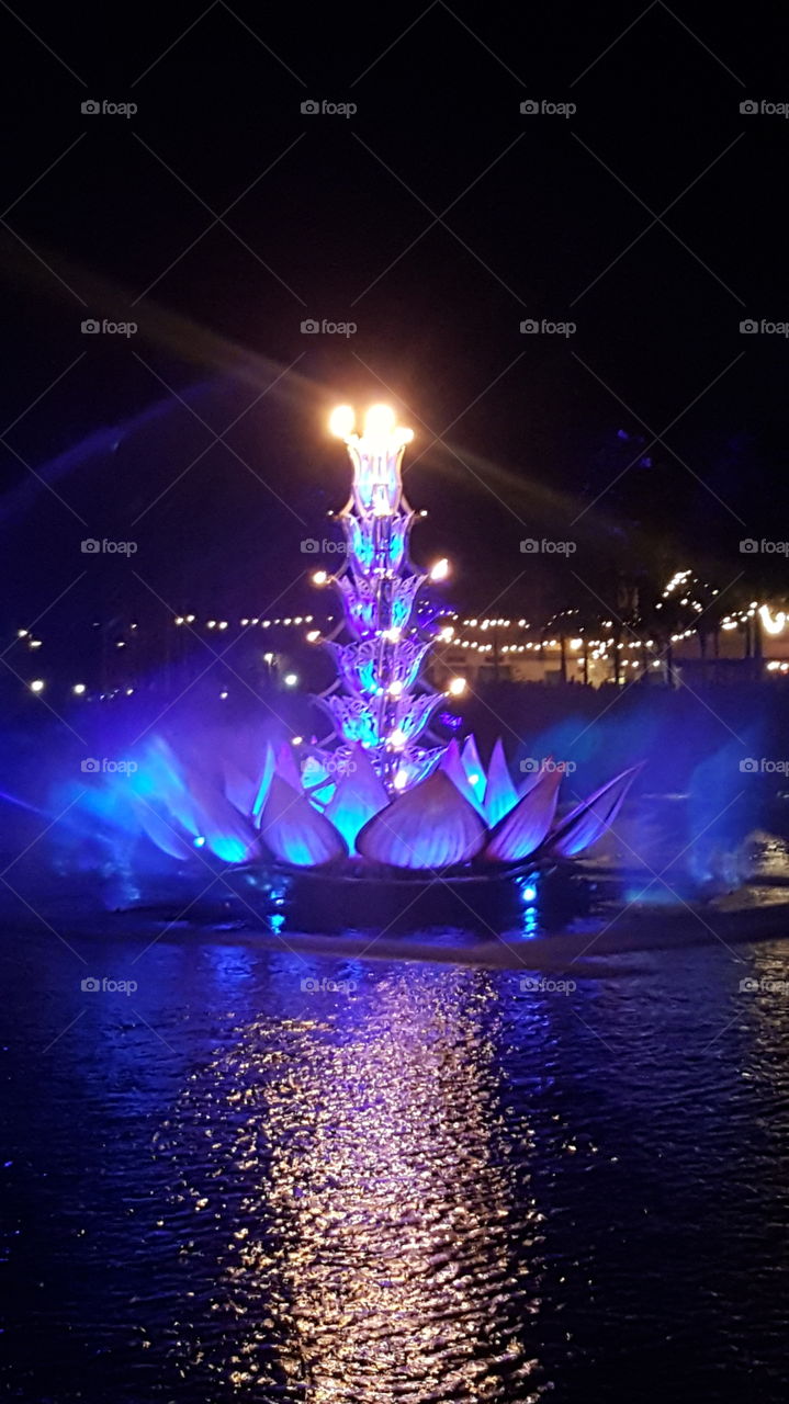 Purple and Blue light are carried into the night sky by the waters of Discovery River during Rivers of Light at Animal Kingdom at the Walt Disney World Resort in Orlando, Florida.