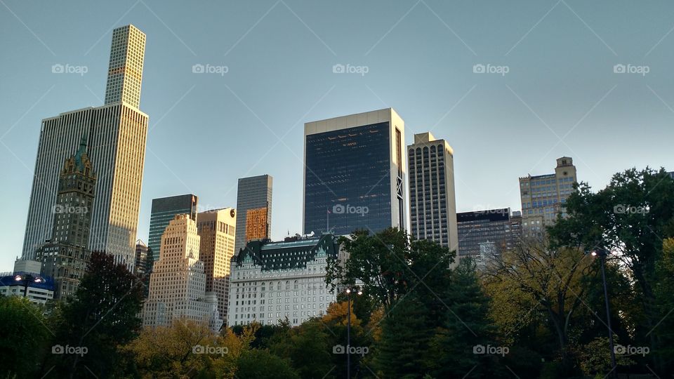 Manhattan From Central Park