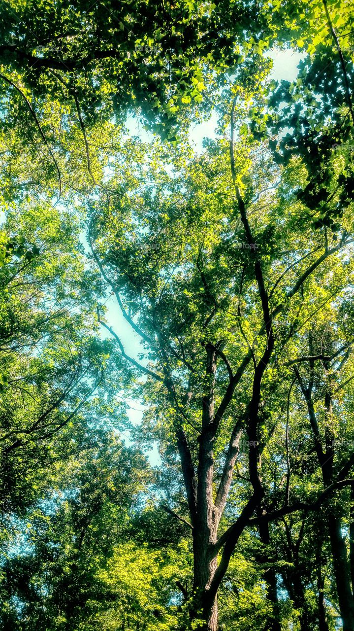 the sky is the limit!