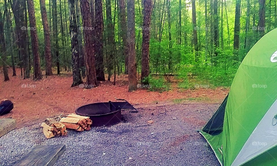 camping spot in the woods