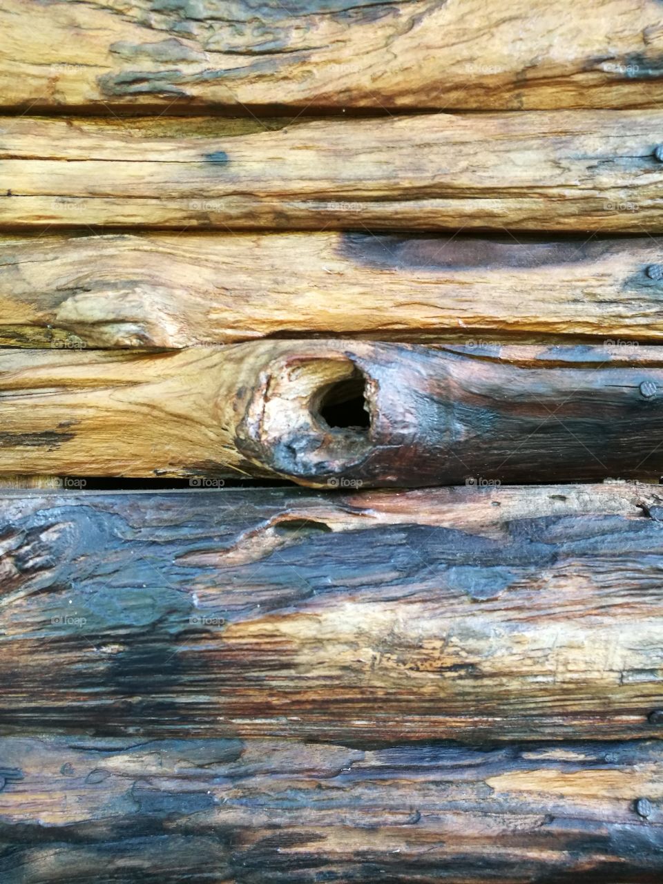 Close-up of wood