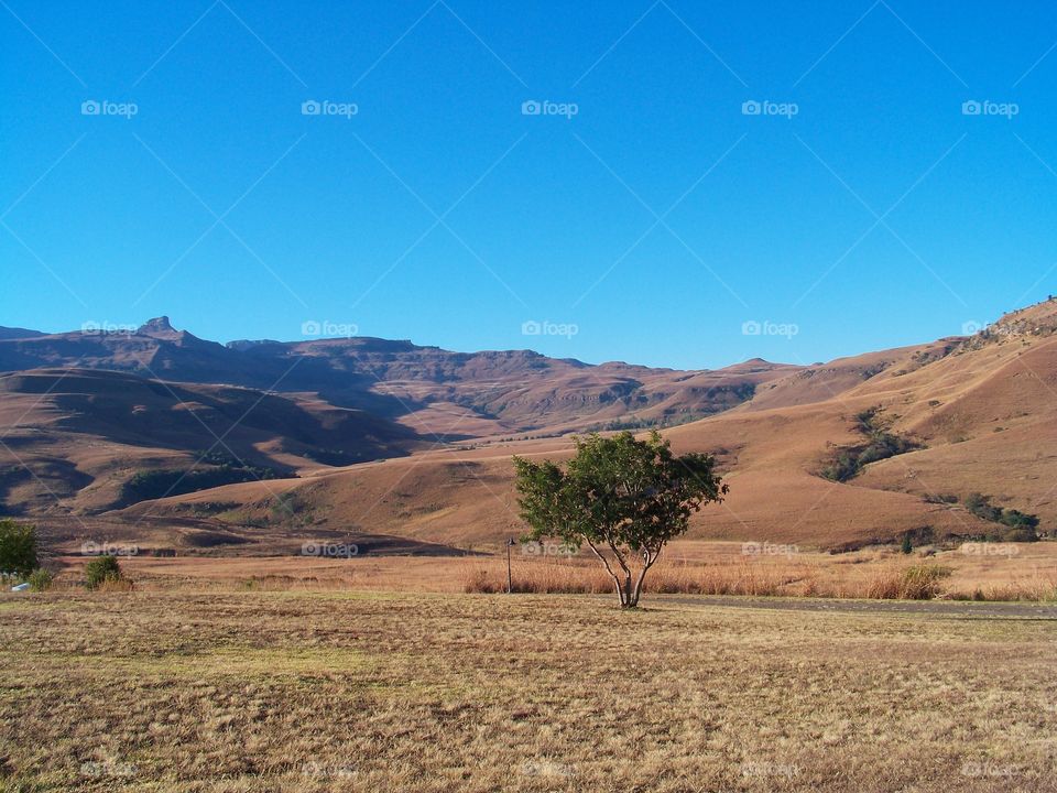 View of the drakensberg mountain range of South Africa during the dry winter season