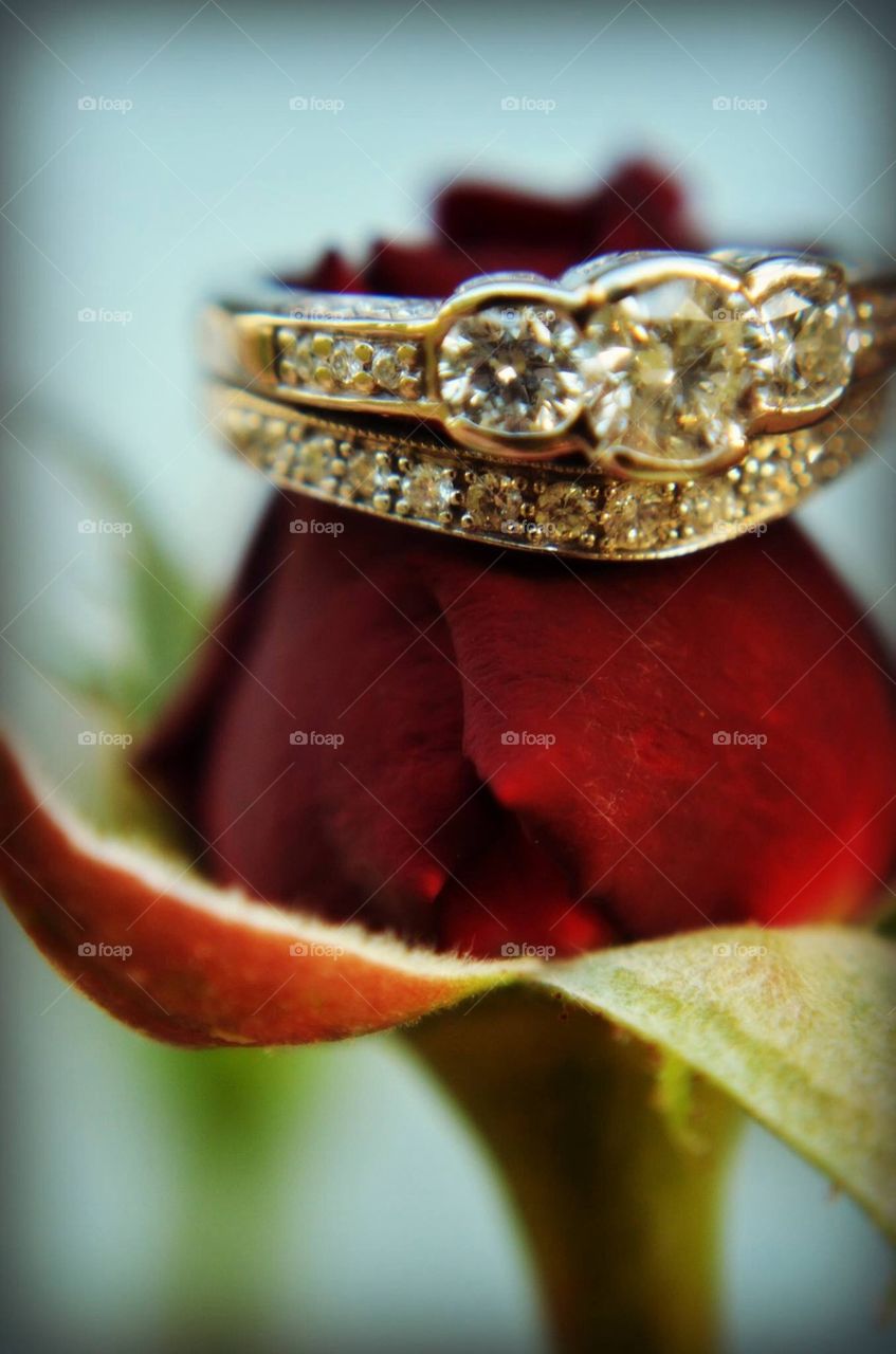 Rings and flower 